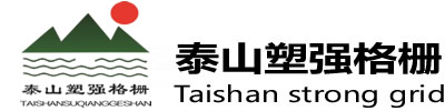 拼接格柵,地格柵,洗車格柵